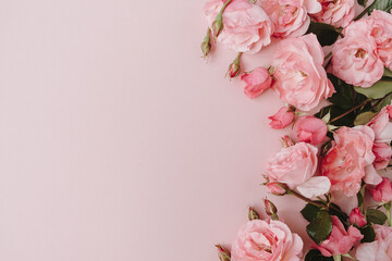 Beautiful pink roses flowers on pink background. Flatlay, top view minimalistic floral composition....