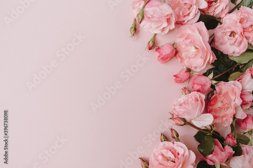 Beautiful pink roses flowers on pink background. Flatlay, top view minimalistic floral composition. Valentine's Day / Mother's Day holiday concept.