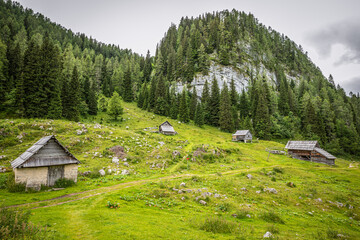 Fototapeta na wymiar Lovely wooden cottages stand near a pine forest covered mountain in the tranquil Julian Alps en route to the Triglav Seven Lakes, Triglav National Park, Slovenia.