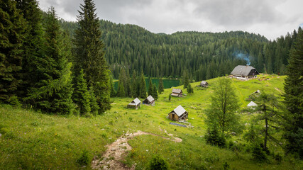 Lovely wooden cottages stand near a pine forest covered mountain in the tranquil Julian Alps with Planina pri jezeru lake in the back, Triglav national park, Slovenia.