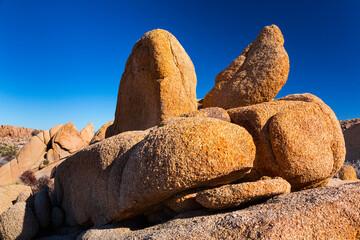 Joshua Tree National Park, California, USA