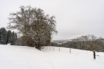 Fototapeta na wymiar Winter hike in snow from Wilhelmsdorf on the Hoechsten on Lake Constance