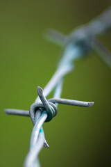 Barbed wire colour