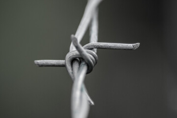 Barbed wire B&W