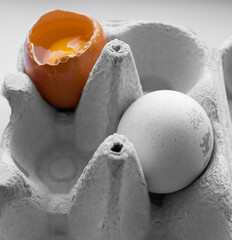 eggs in cartoon, yellow yolk colour pop