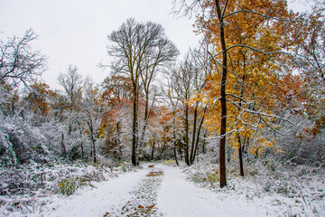 Big Bend Lake park in Des plaines Town of Illinois