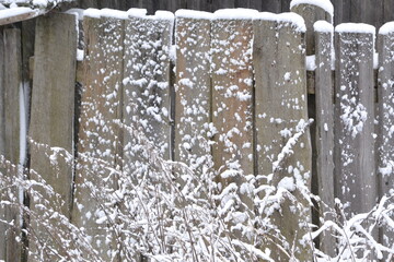 Wooden fence gate covered in white snow at heavy snowing snowstorm, storm, falling snowflakes, bushes in background. No edit.