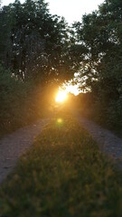 Sonnenflare an Landstraße