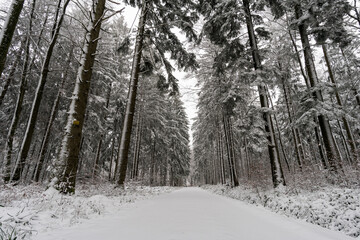 Winter hike in snow from Wilhelmsdorf on the Hoechsten on Lake Constance