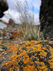 Orange Stone