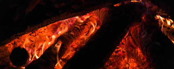 branches and logs are burning in the fire close up