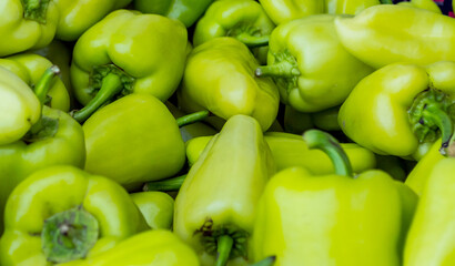 Green paprika background