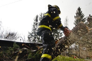 A large amount of flying sawdust while a firefighter works with a chainsaw cuts a fallen tree after...