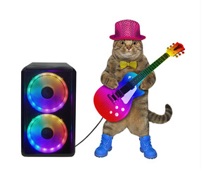 A cat guitar player in stylish clothes is playing near a loudspeaker. White background. Isolated.