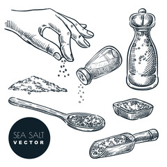 Sea salt sketch vector illustration. Natural ingredient, seasoning spice. Hand drawn isolated design elements - 396746289