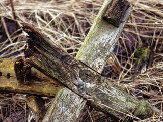 remnants of a wooden fence on the grass