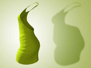 Conceptual fat overweight obese shadow female dress outfit vs slim fit healthy body after weight loss or diet thin young woman on green. A fitness, nutrition or obesity health shape 3D illustration