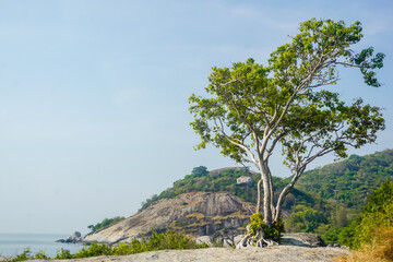 Fototapeta na wymiar Beautiful seascape of Hua Hin city in Thailand