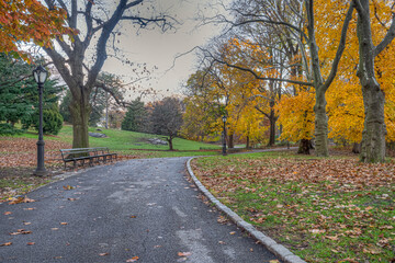 Naklejka na ściany i meble Autumn in Central Park