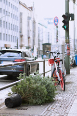 Berlin/Germany-01.01.2020: A used, discarded Christmas tree is lying on the sidewalk in Germany for...