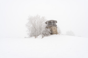 Winter hike in snow from Wilhelmsdorf on the Hoechsten on Lake Constance