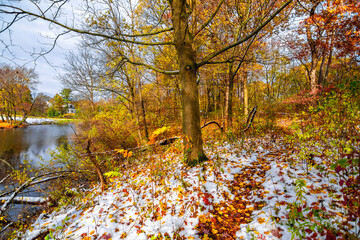 Delnor Woods Park view with autumn colours in Illinois 