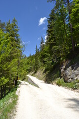 Inseln, Wanderungen, Blumen 