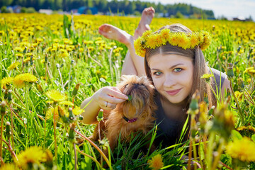 Beautiful young woman on a field with green grass and yellow dandelion flowers in a sunny day. Girl with small dog on nature.