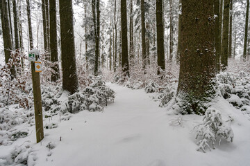 Winter hike in snow from Wilhelmsdorf on the Hoechsten on Lake Constance