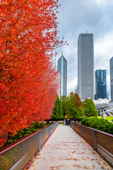 Obraz premium Autumn colors in Chicago of USA