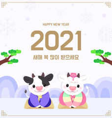 2021 흰 소띠의 해. 신년 벡터 일러스트.
