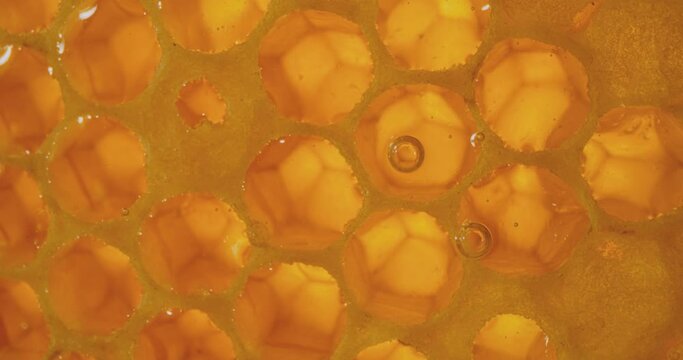 Honey comb macro Honey, apiary. 4K