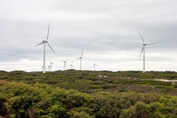 Industrial wind farm with a lot of turbines in the Albany Wind Farm, Western Australia during...