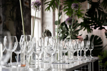 Empty clean wine glasses in a bright room with lots of plants