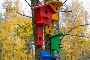 Group of wooden birdhouses on a tree in the autumn park. Bird feeder. A house for the birds.