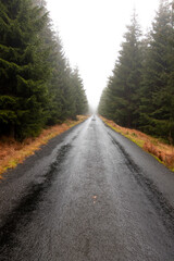 Road in the mist