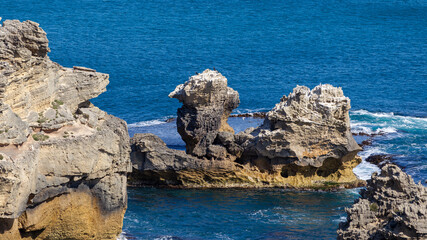 The iconic Camel rock at Cape Northumberland in Port MacDonnell South Australia on November 10th...