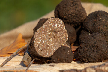 Tartufo