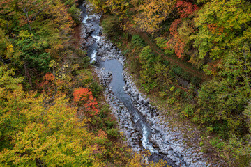 中津川渓谷の紅葉