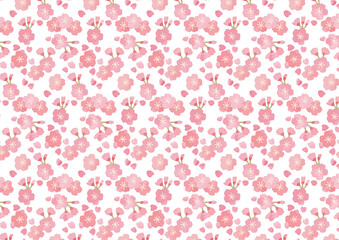 Obraz premium 和風 かわいい桜のパターン背景