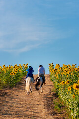 farmer riding a horse in field