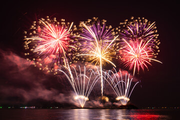 Colorful of fireworks In the sea display on sky background