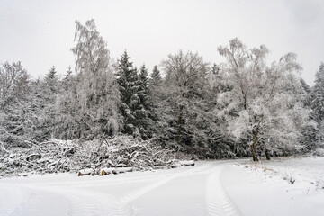 Obraz premium Winter hike in snow from Wilhelmsdorf on the Hoechsten on Lake Constance