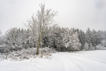 Winter hike in snow from Wilhelmsdorf on the Hoechsten on Lake Constance