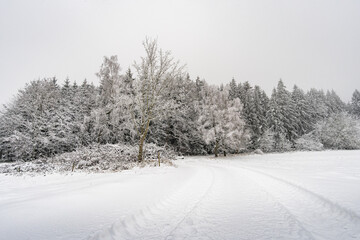 Winter hike in snow from Wilhelmsdorf on the Hoechsten on Lake Constance