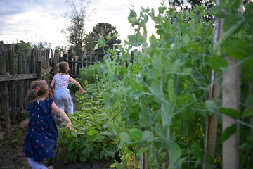 children run in the garden