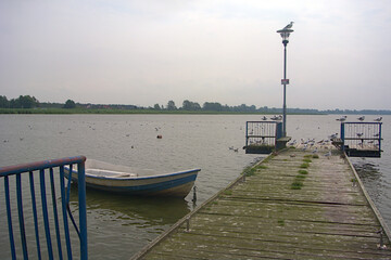 A walkway with plenty of seagulls on a cloudy day
