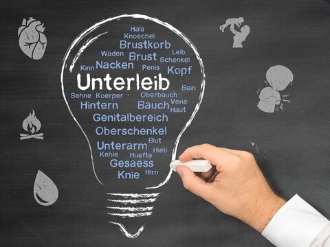 Unterleib