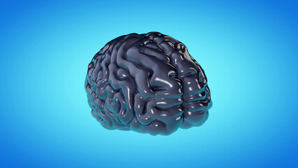  the human brain 