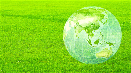 Fototapeta na wymiar earth and asia map on the green field, ecology afforestation, climate change concept